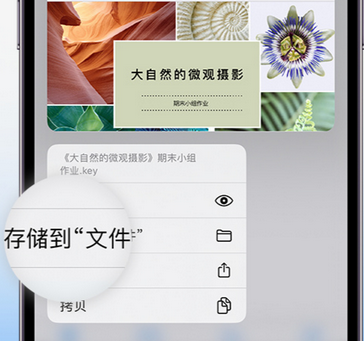 点军apple维修中心分享iPhone文件应用中存储和找到下载文件