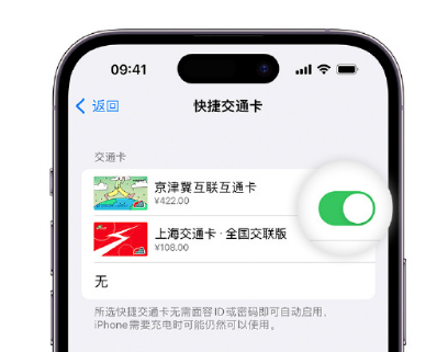 点军apple维修点分享iPhone上更换Apple Pay快捷交通卡手绘卡面 