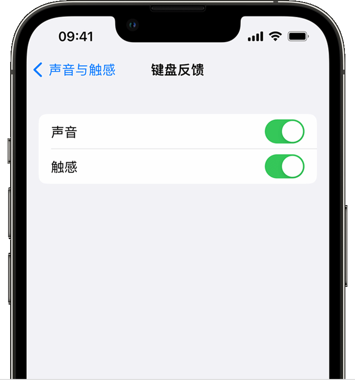 点军苹果14维修店分享如何在 iPhone 14 机型中使用触感键盘 