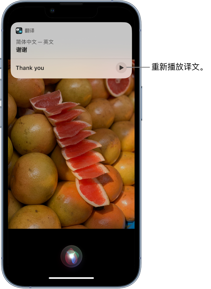 点军苹果14维修分享 iPhone 14 机型中使用 Siri：了解 Siri 能帮你做什么 