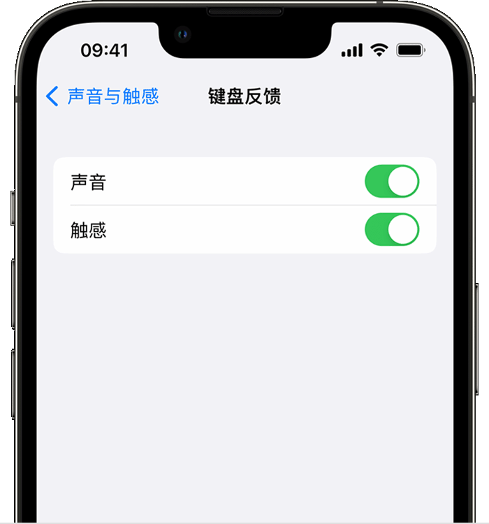点军苹果14维修分享iPhone 14 系列机型如何开启键盘声音或触感反馈 