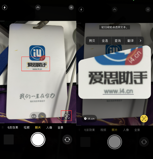 点军苹果手机维修分享升级iOS 16后如何通过相机翻译文本 