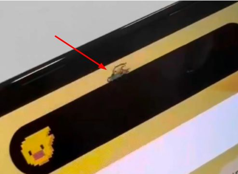 点军苹果14维修分享iPhone 14 Pro Max灵动岛怎么养宠物 