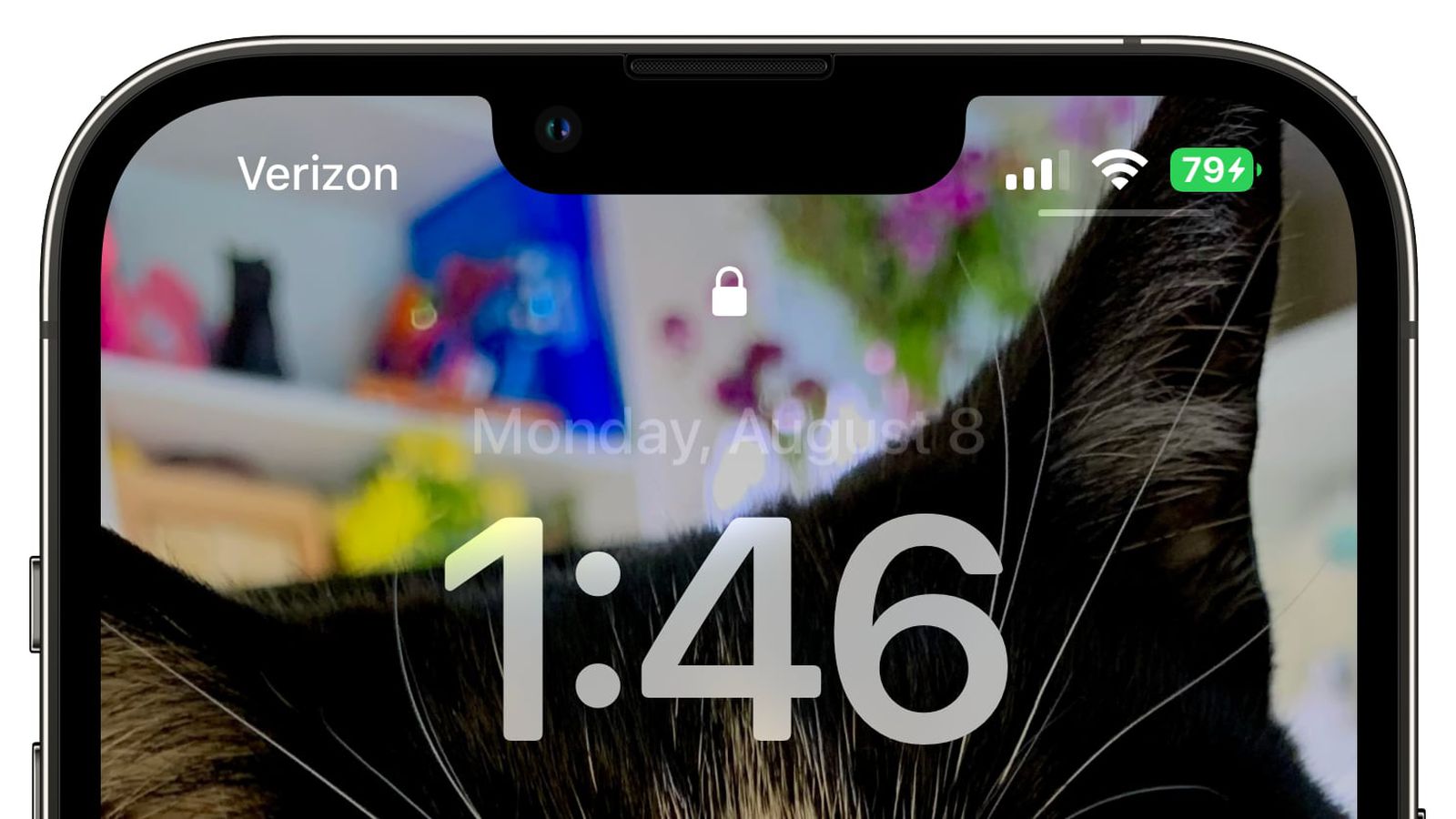 点军苹果手机维修分享iOS 16 beta 5 支持状态栏显示电池百分比，如何开启？支持哪些机型 
