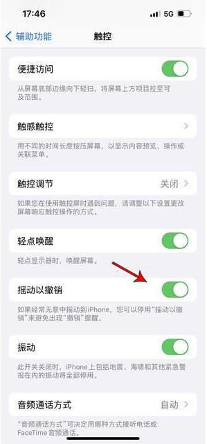 点军苹果手机维修分享iPhone手机如何设置摇一摇删除文字 