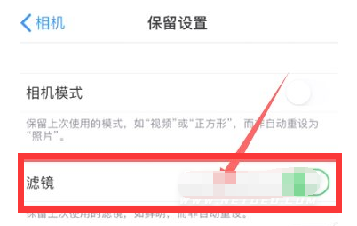 点军苹果13维修分享iPhone13拍照有绿点是怎么回事 