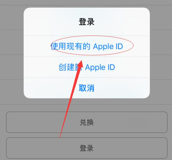 点军苹果手机维修分享两台iPhone设备可以同时登录一个Apple ID吗 