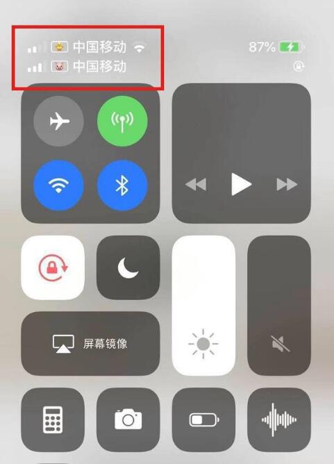 点军苹果手机维修分享为 iPhone 12 双卡设置标签 
